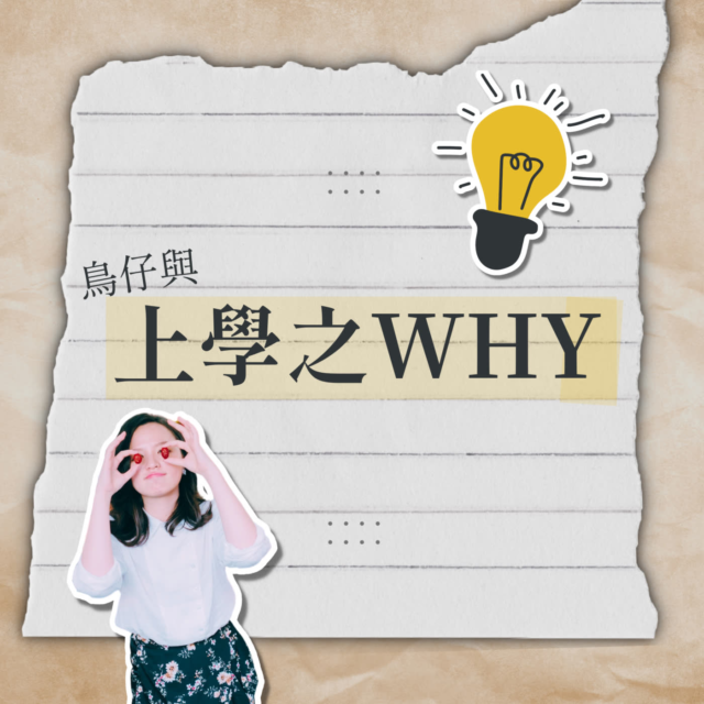 Why Bird 鳥仔